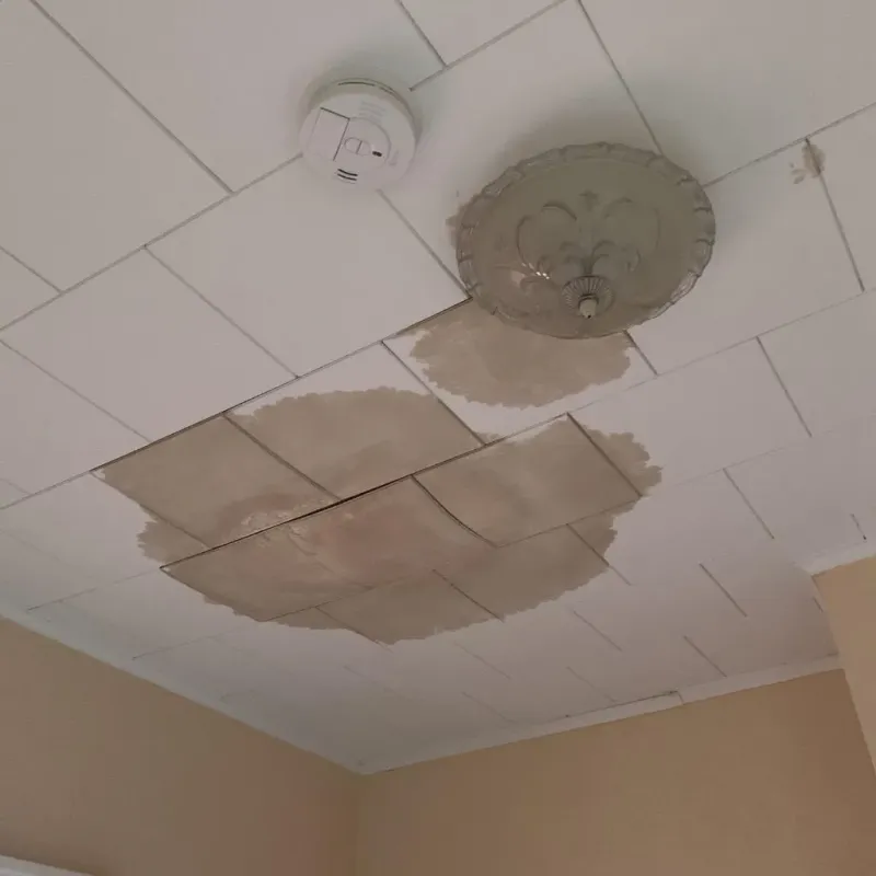 Ceiling Water Damage Repair in Schulenburg, TX