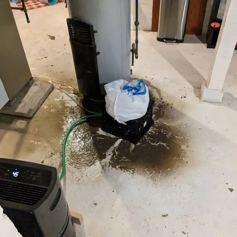Sewage Backup Cleanup Service in Schulenburg, TX
